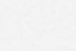bg-pattern